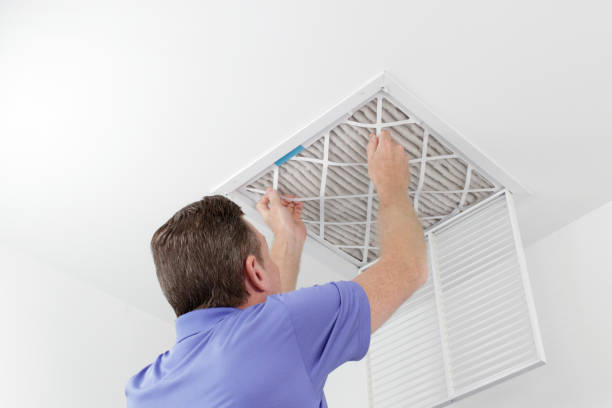 Best Mold and Mildew Removal from Ducts in Margate City, NJ